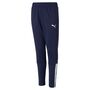 Puma teamLIGA Training Pants Jr - blau