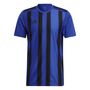 adidas Herren Striped 21 Trikot