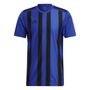 adidas Herren Striped 21 Trikot