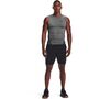 Under Armour Heatgear Armour Compression Longsleeve