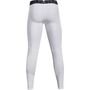 Under Armour Heatgear Armour Leggings