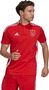 adidas Herren Ajax Tiro Poloshirt