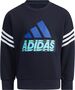 adidas Kinder Graphic Sweatshirt