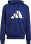 adidas Herren adidas Sportswear Future Icons Logo Graphic Hoodie