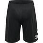Hummel Hmlcore Xk Poly Shorts - black