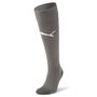 Puma Team LIGA Socks - grau