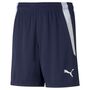Puma teamLIGA Shorts Jr - blau