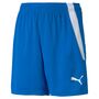 Puma teamLIGA Shorts Jr - blau