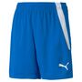 Puma teamLIGA Shorts Jr - blau