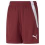 Puma teamLIGA Shorts Jr - rot