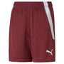 Puma teamLIGA Shorts Jr - rot