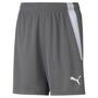 Puma teamLIGA Shorts Jr - grau
