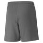 Puma teamLIGA Shorts Jr - grau