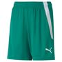Puma teamLIGA Shorts Jr - gr�n