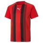 Puma teamLIGA Striped Jersey Jr - rot