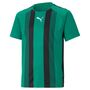 Puma teamLIGA Striped Jersey Jr - gr�n
