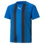 Puma teamLIGA Striped Jersey Jr - blau
