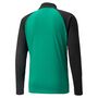 Puma teamLIGA Training Jacket - gr�n