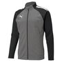 Puma teamLIGA Training Jacket - grau