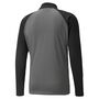 Puma teamLIGA Training Jacket - grau