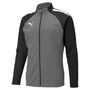Puma teamLIGA Training Jacket - grau