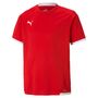 Puma teamLIGA Jersey Jr - rot