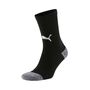Puma teamLIGA Training Socks - schwarz