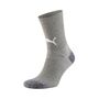 Puma teamLIGA Training Socks - grau