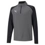 Puma teamLIGA 1/4 Zip Top Jr - grau