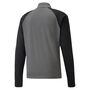 Puma teamLIGA 1/4 Zip Top - grau