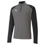 Puma teamLIGA 1/4 Zip Top - grau