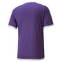 Puma teamLIGA Jersey - violett