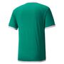 Puma teamLIGA Jersey - gr�n
