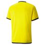 Puma teamLIGA Jersey - gelb