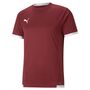 Puma teamLIGA Jersey - rot