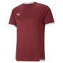 Puma teamLIGA Jersey - rot