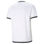Puma teamLIGA Jersey - weiss