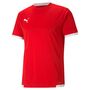 Puma teamLIGA Jersey - rot