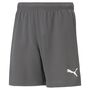 Puma teamRISE Short Jr - grau