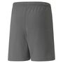 Puma teamRISE Short Jr - grau