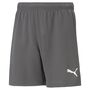 Puma teamRISE Short Jr - grau