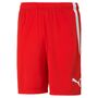 Puma teamLIGA Shorts - rot