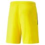 Puma teamLIGA Shorts - gelb