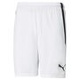 Puma teamLIGA Shorts - weiss