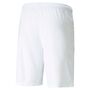 Puma teamLIGA Shorts - weiss