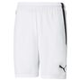 Puma teamLIGA Shorts - weiss