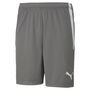 Puma teamLIGA Shorts - grau