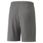 Puma teamLIGA Shorts - grau