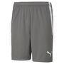 Puma teamLIGA Shorts - grau