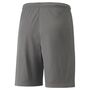 Puma teamLIGA Shorts - grau